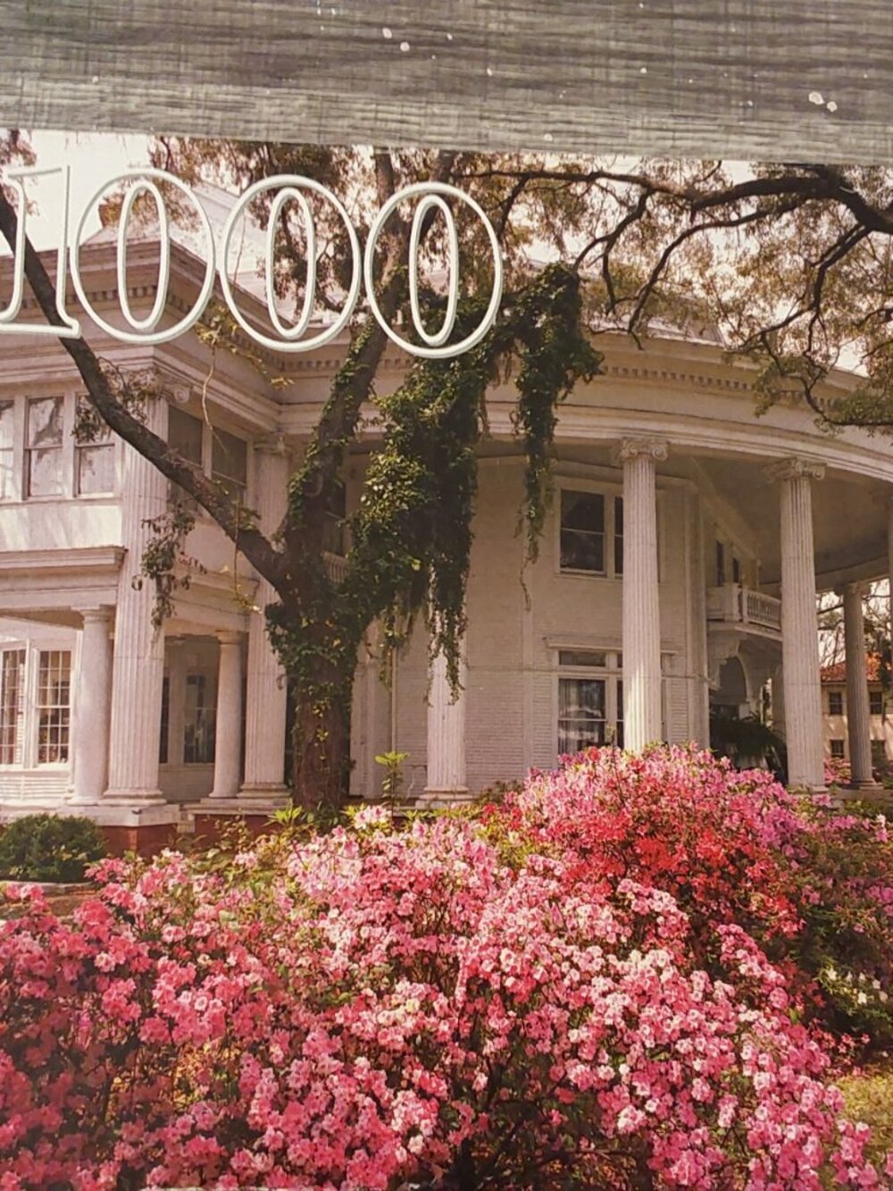 1995 Guild Puzzle 1000 Piece Crescent House, Valdosta Georgia Brand New Sealed - Picture 6 of 9